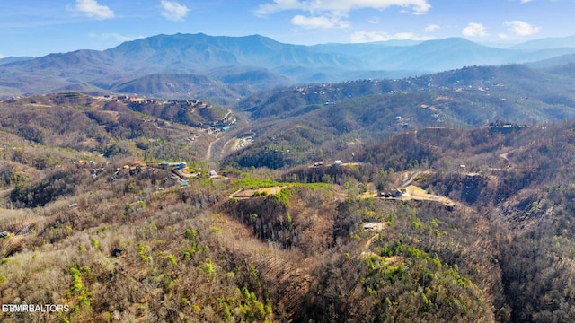 LOT3 Cove Mountain Rd, Gatlinburg, TN 37738