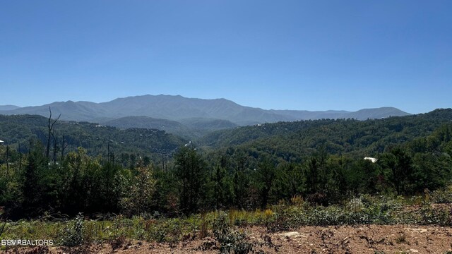 LOT3 Cove Mountain Rd, Gatlinburg, TN 37738