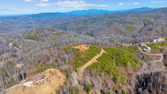 LOT3 Cove Mountain Rd, Gatlinburg, TN 37738