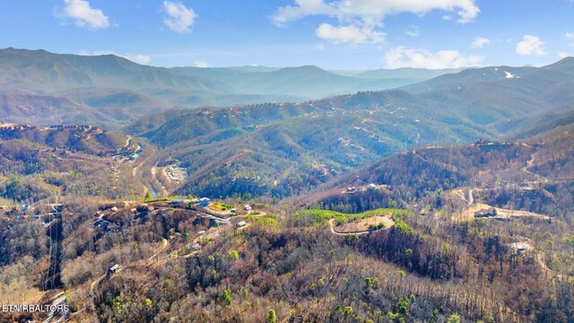 LOT3 Cove Mountain Rd, Gatlinburg, TN 37738