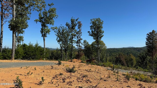 LOT3 Cove Mountain Rd, Gatlinburg, TN 37738