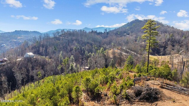 LOT3 Cove Mountain Rd, Gatlinburg, TN 37738