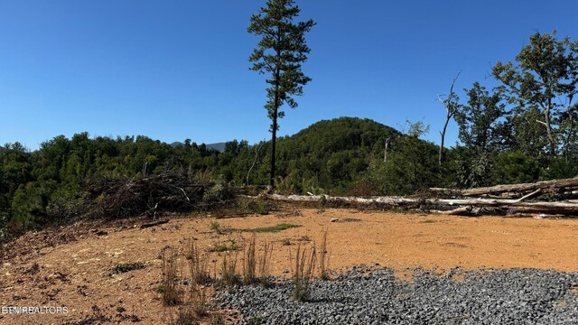 LOT3 Cove Mountain Rd, Gatlinburg, TN 37738