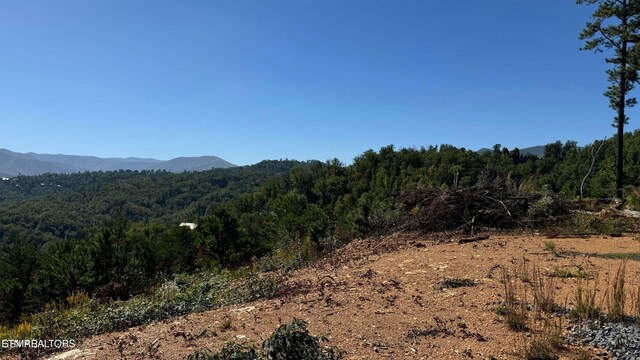 LOT3 Cove Mountain Rd, Gatlinburg, TN 37738