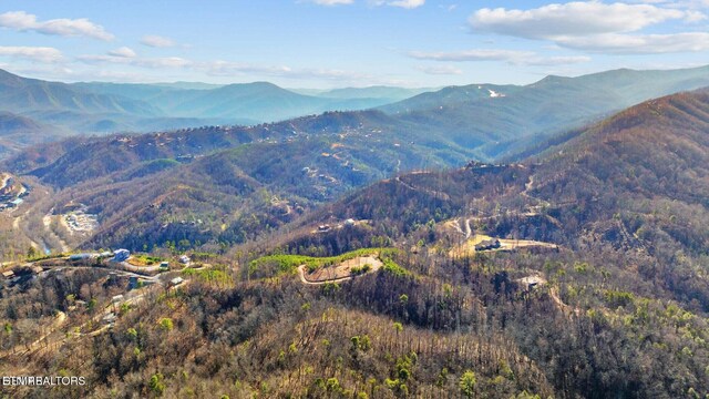 LOT3 Cove Mountain Rd, Gatlinburg, TN 37738
