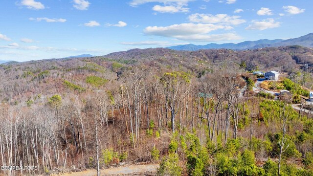 LOT3 Cove Mountain Rd, Gatlinburg, TN 37738