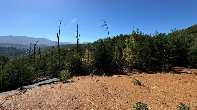 LOT3 Cove Mountain Rd, Gatlinburg, TN 37738