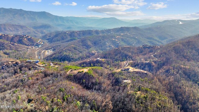 LOT3 Cove Mountain Rd, Gatlinburg, TN 37738