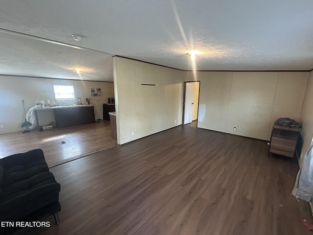 230 Hitch St, Vonore, TN 37885 - unfurnished living room featuring dark wood-style flooring and a textured ceiling