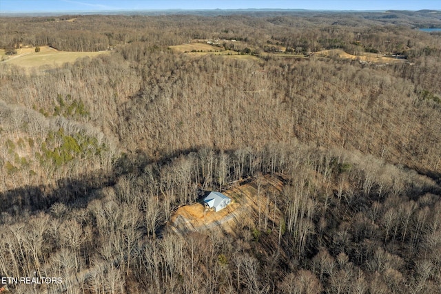299 Shire Ln, Celina, TN 38551 - bird's eye view of a heavily wooded area