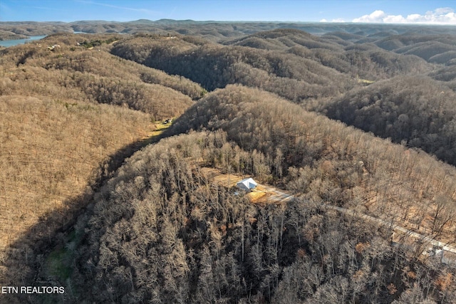 299 Shire Ln, Celina, TN 38551 - aerial view of property's location featuring a forest and a mountain backdrop