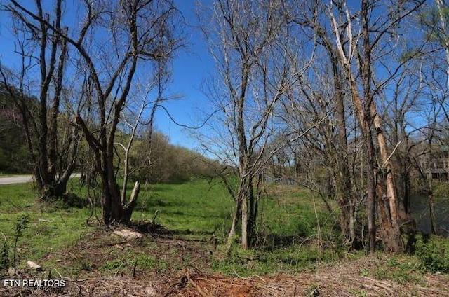 2 Cherohala Skwy, Tellico Plains, TN 37385
