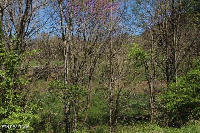 2 Cherohala Skwy, Tellico Plains, TN 37385