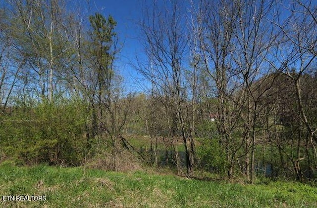 2 Cherohala Skwy, Tellico Plains, TN 37385