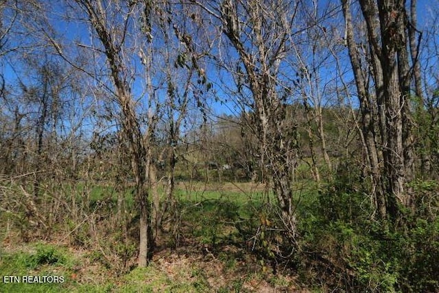 2 Cherohala Skwy, Tellico Plains, TN 37385