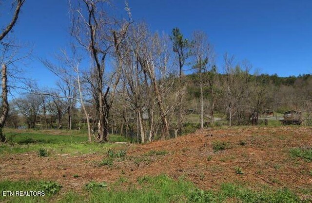 2 Cherohala Skwy, Tellico Plains, TN 37385