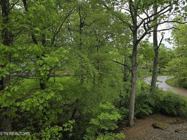 181 Snead Dr, Crossville, TN 38558 - photo 50