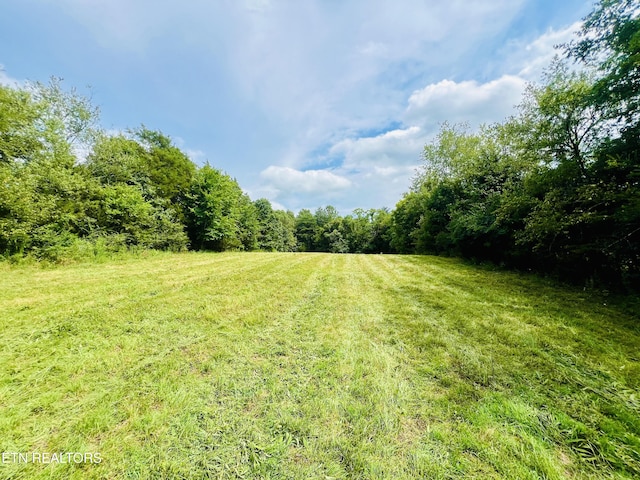 2415 Riddle Rd, New Market, TN 37820 - photo 52