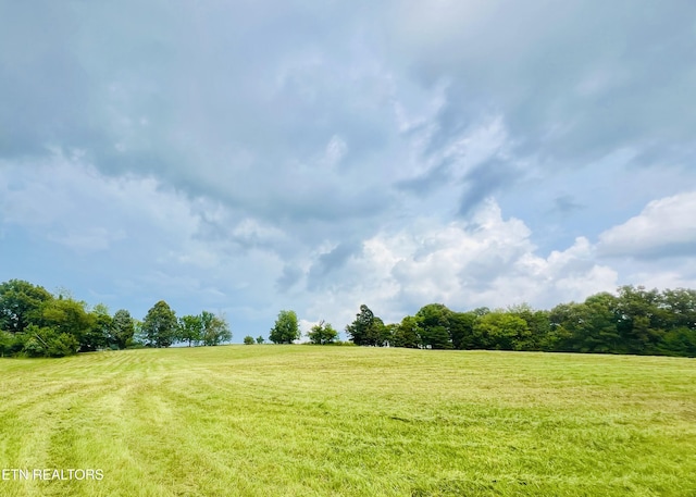 2415 Riddle Rd, New Market, TN 37820 - photo 53
