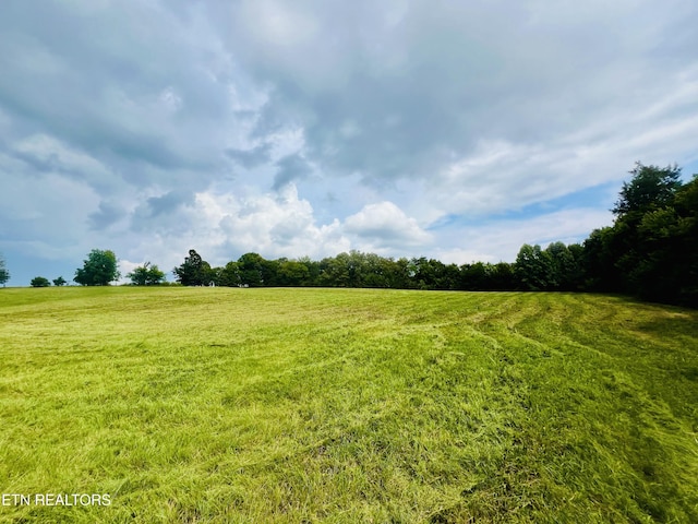 2415 Riddle Rd, New Market, TN 37820 - photo 54