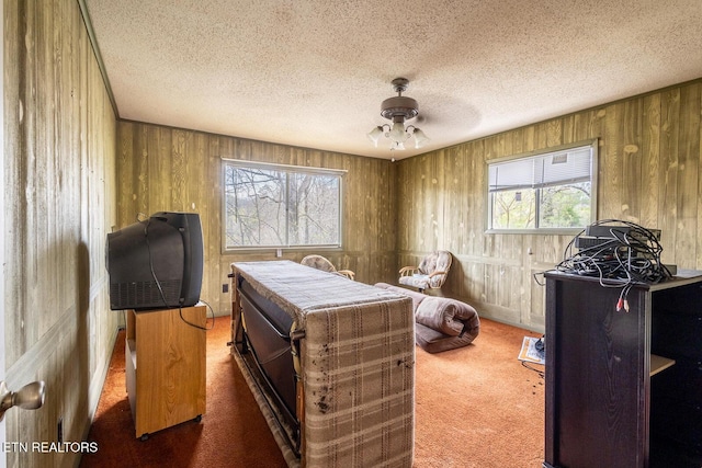 interior space featuring a healthy amount of sunlight, carpet flooring, and a textured ceiling