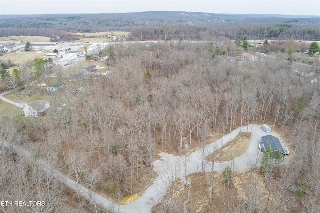 101 Woods Hollow Ln, Crossville, TN 38571 - bird's eye view featuring a view of trees