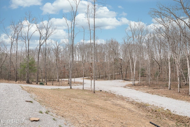 101 Woods Hollow Ln, Crossville, TN 38571 - view of road featuring a view of trees