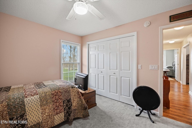 135 Stonewood Dr, Crossville, TN 38558 - photo 29