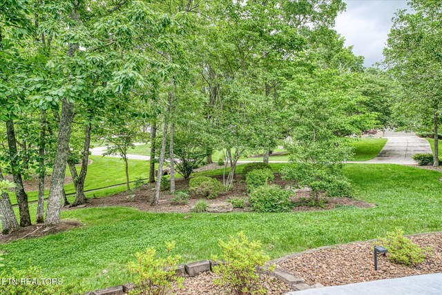 135 Stonewood Dr, Crossville, TN 38558 - photo 46