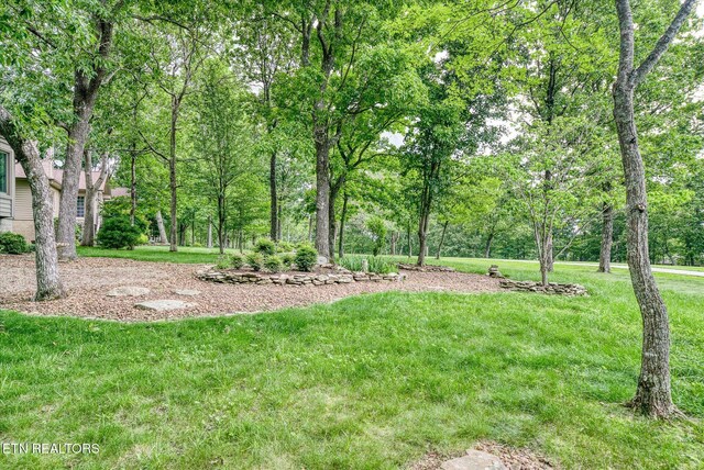 135 Stonewood Dr, Crossville, TN 38558 - photo 47