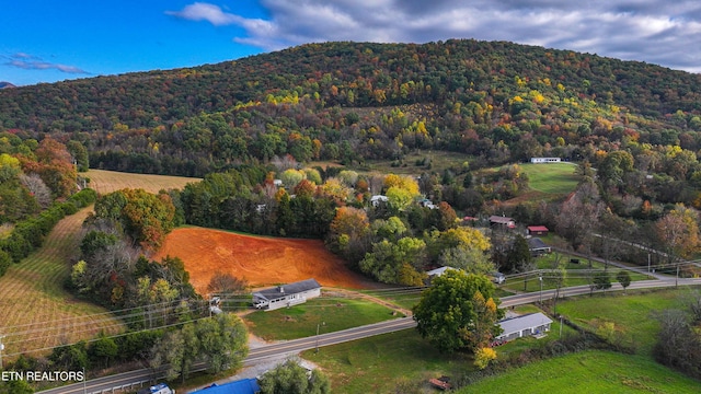 3177 Old Newport Hwy, Sevierville, TN 37876 - drone / aerial view of mountains and a forest