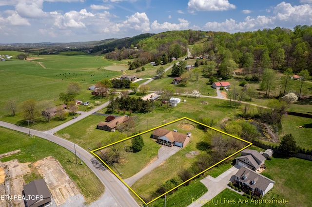 709 Head Of Creek Rd, Sweetwater, TN 37874 - view of property location with property boundaries highlighted