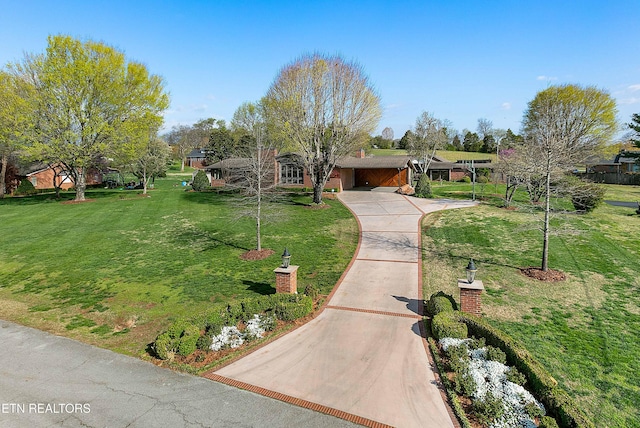 212 Douglas Ave, Sweetwater, TN 37874 - view of front of house with concrete driveway and a front yard