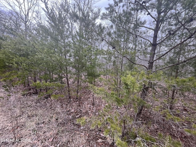 0 Maple Ln, Pikeville, TN 37367 - photo 1