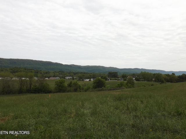 138 Nevils St, Harrogate, TN 37752 - view of mountain background with rural landscape