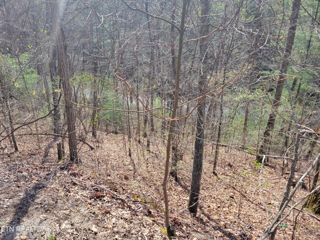 LOT4 Alpine Dr, Sevierville, TN 37876 - photo 10