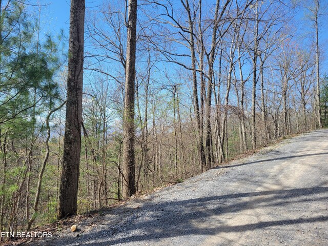 LOT4 Alpine Dr, Sevierville, TN 37876 - photo 3