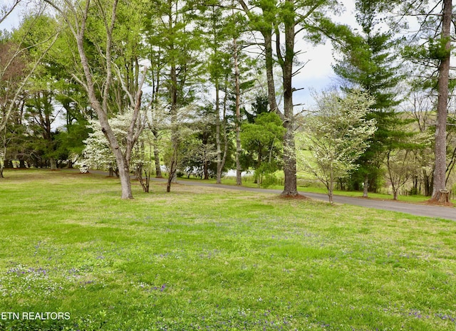 128 Chinquapin Ln, Madisonville, TN 37354 - photo 27