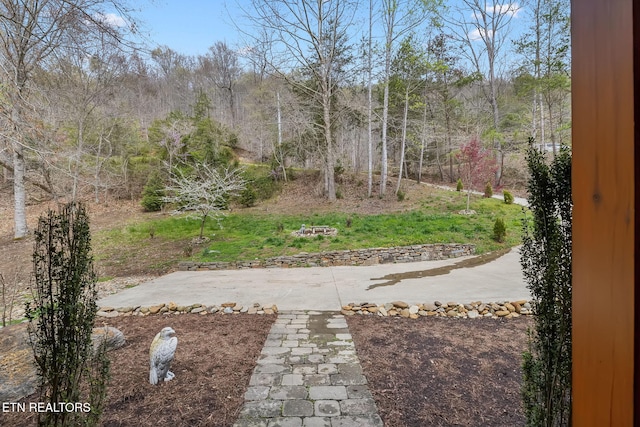 view of yard featuring a patio area