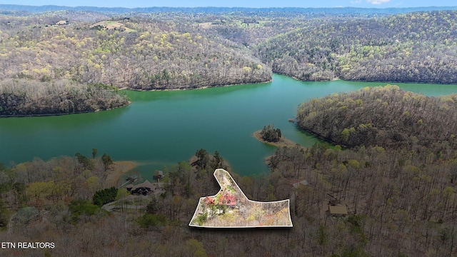 birds eye view of property with a water view and a view of trees