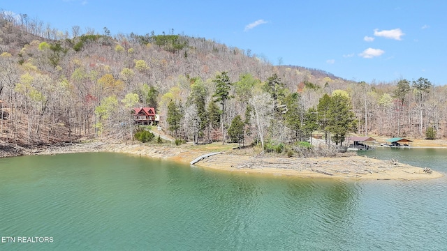 water view with a view of trees