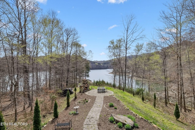 water view featuring a view of trees