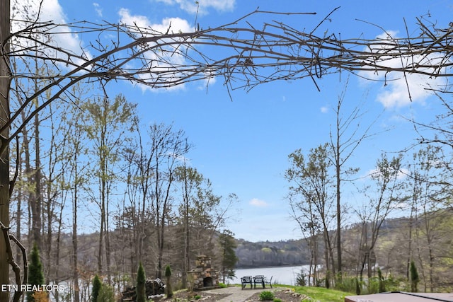 view of water feature featuring a view of trees