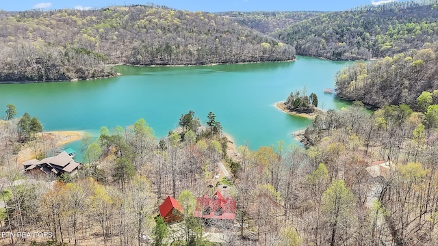 birds eye view of property featuring a water view and a view of trees