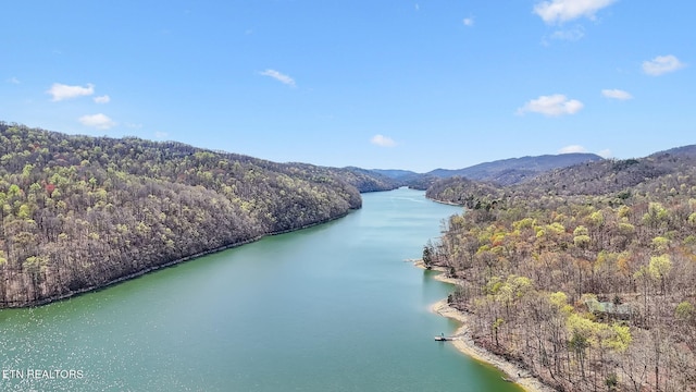 aerial view with a water view and a wooded view