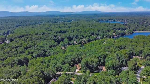 207 Overlook Ln, Crossville, TN 38558 - photo 40