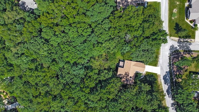 207 Overlook Ln, Crossville, TN 38558 - photo 44