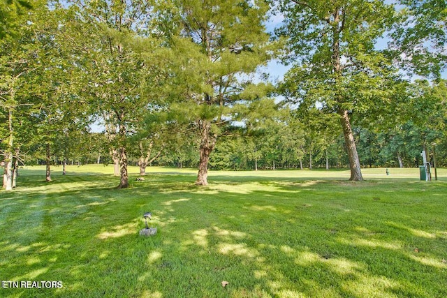 512 Druid Lndg, Crossville, TN 38558 - photo 32