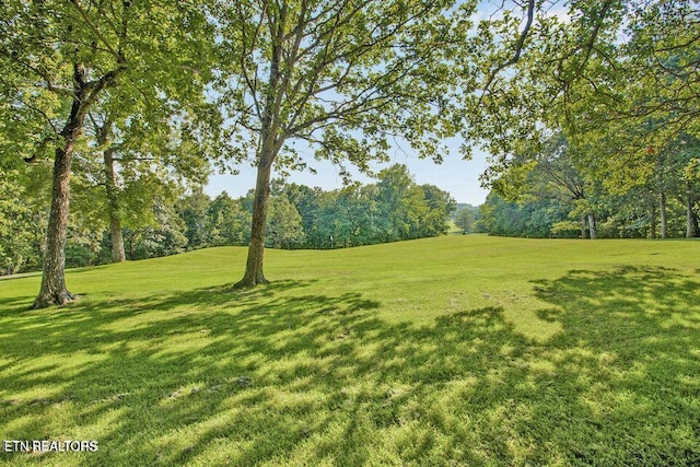 512 Druid Lndg, Crossville, TN 38558 - photo 33