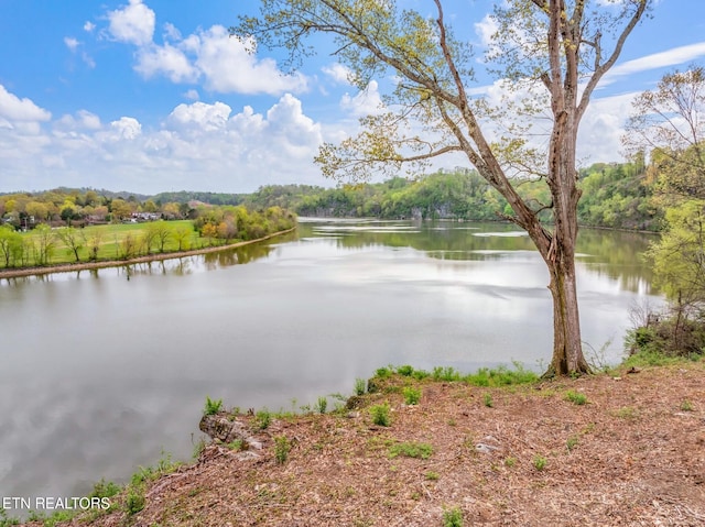 2101 Woodmere Ln, Knoxville, TN 37920 - photo 1